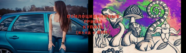 экстази Богородицк