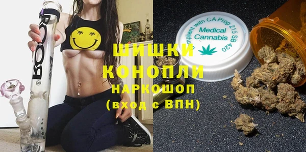 дмт Белокуриха