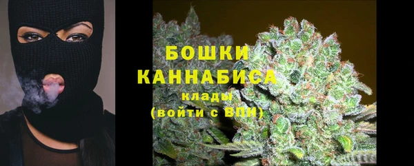 прущие грибы Богородск